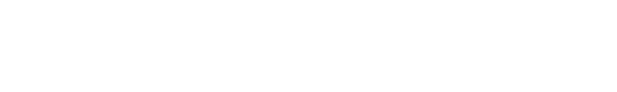 Leon Hoogendoorn Logo